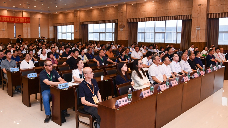 合笔试, entit, 日在石家庄