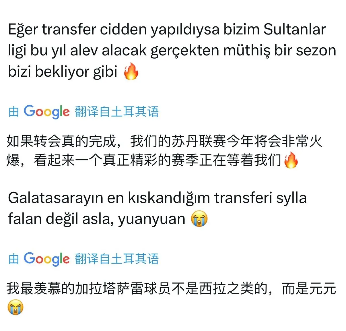 土耳其球迷 土耳其球迷