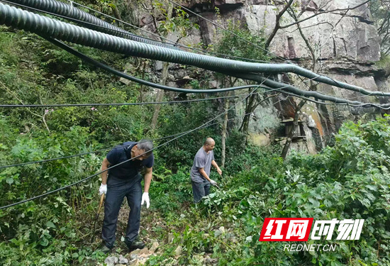 bt, 与时尚运动, PLOGG